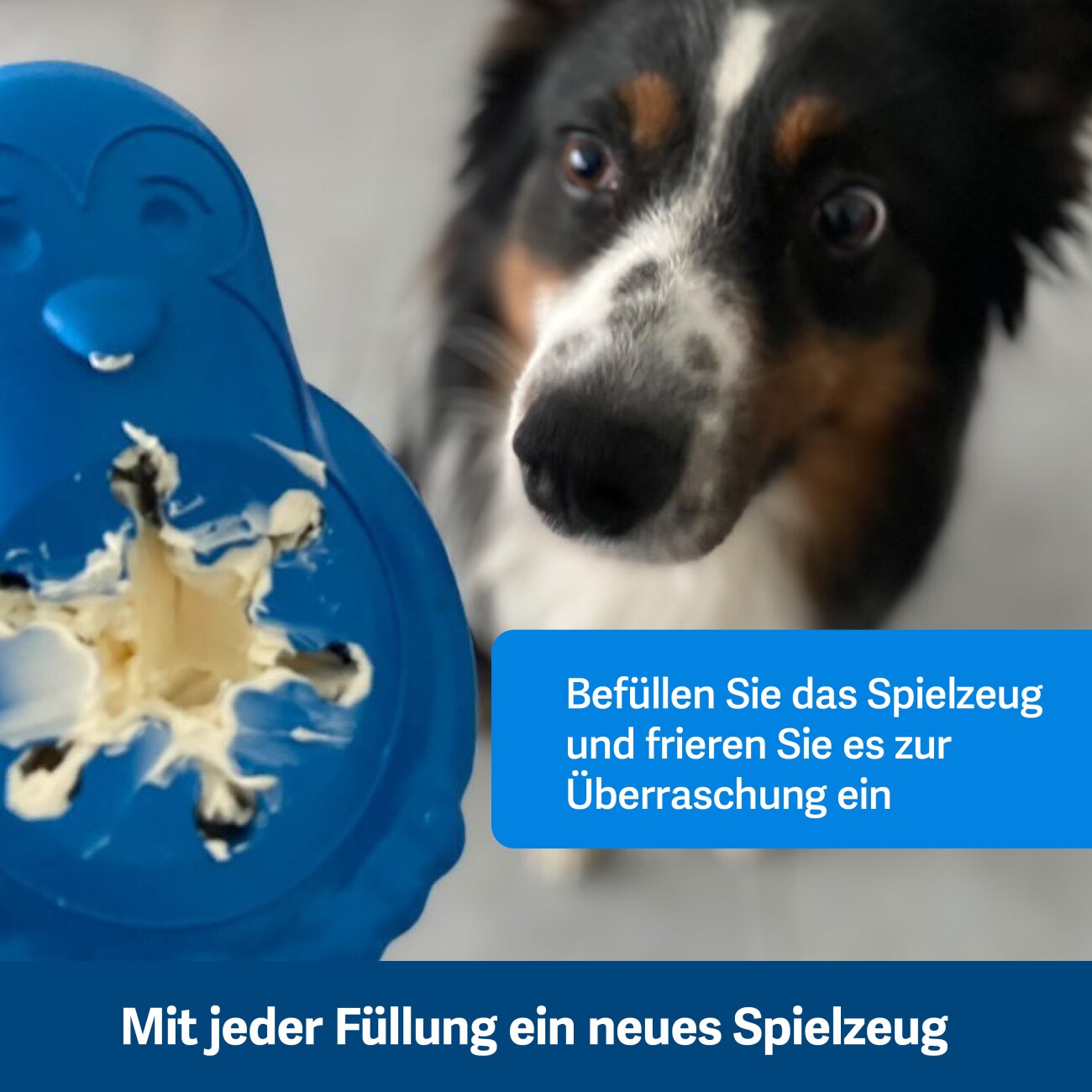 PetSafe Tiefkühlgeeignetes Snackspielzeug für Hunde Gefrier-Pinguin blau S
