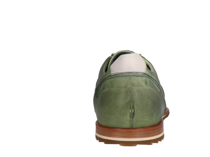 Will Lester 36305 Groen