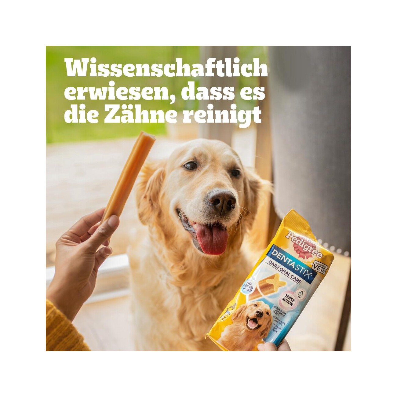 Pedigree Zahnpflege Dentastix Daily Oral Care Multipack Mini, 35x