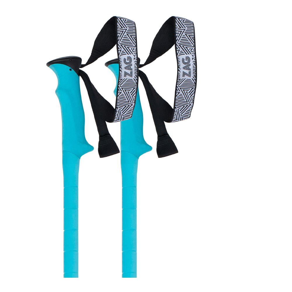 Zag NORTH VARIO - Bâtons ski noir/bleu