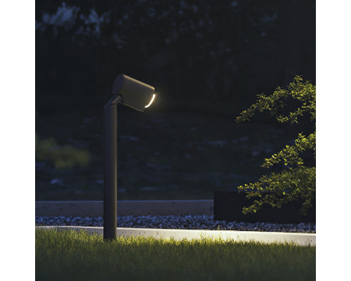 Steinel LED Sensorspot 7,9W 512 lm 3000K warm wit, app-gestuurd, Spot Way SC antraciet
