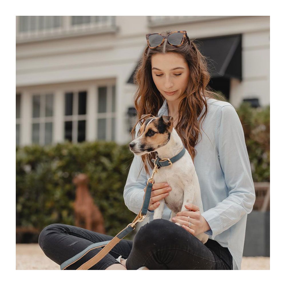 Kentucky CUIR VEGAN -  Collier pour chien navy/beige