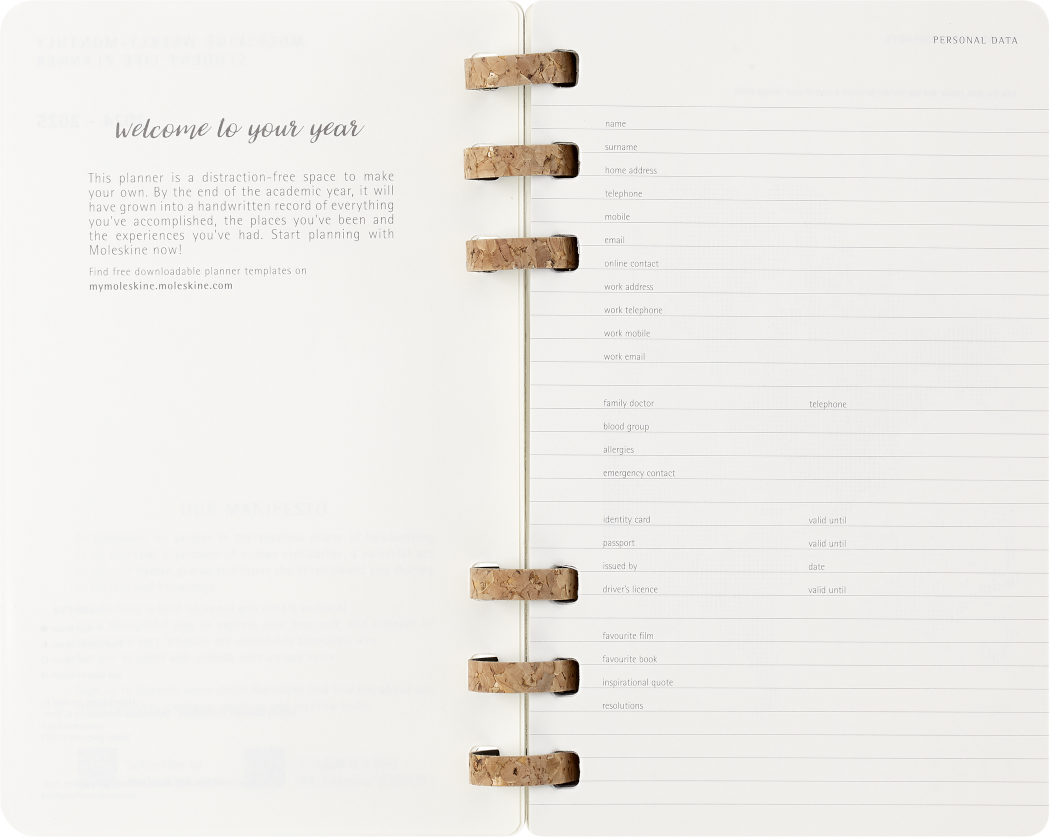Life Planner 2025 L 12-Month, Spiral