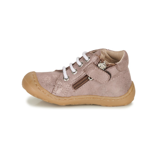 GBB - VEDOFA - Rose