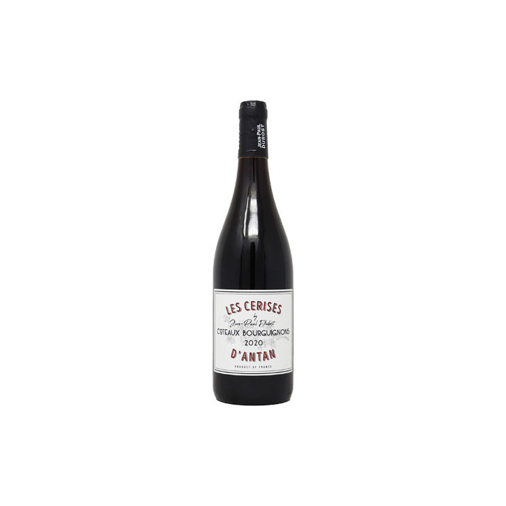 Domaine Dubost Coteaux Bourguignons 