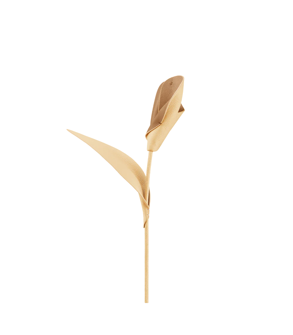 Fleur Pili - Duo Blé Grainé