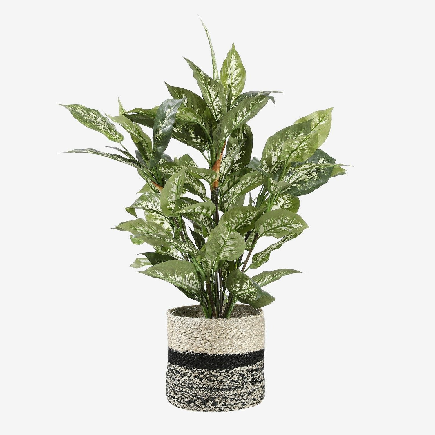 Mica Decorations Kunstplant - dieffenbachia - groen - 70 cm
