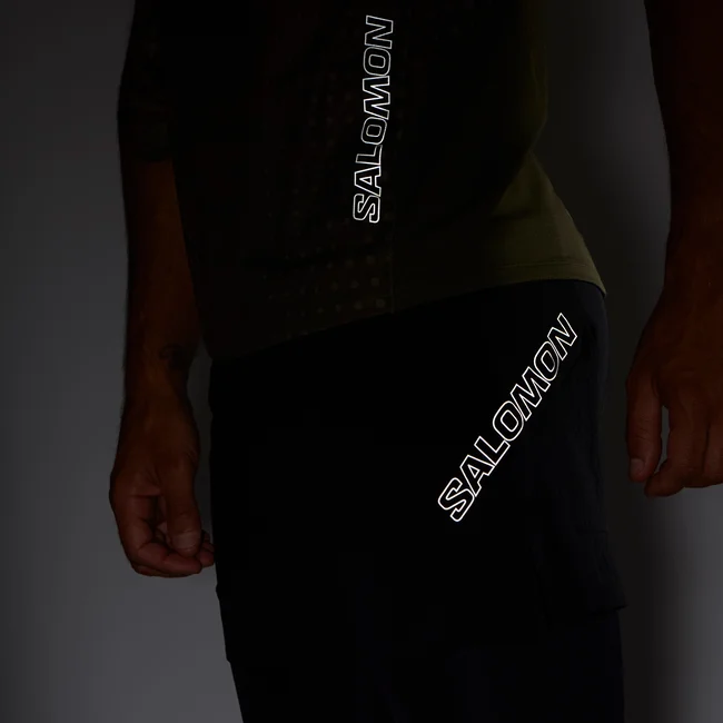 SENSE AERO 2IN1  Shorts Herren