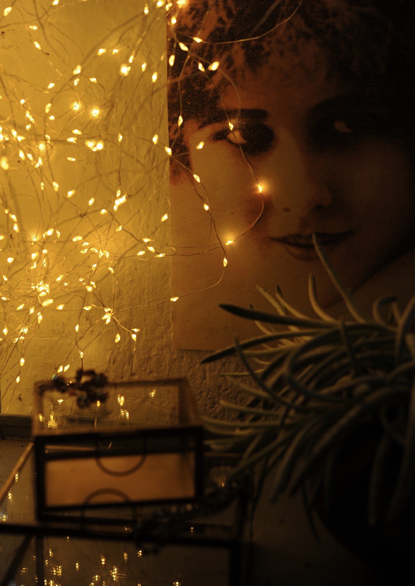 Lichterschnur 'Greville', 20 LED, 190 cm von fischer's lagerhaus