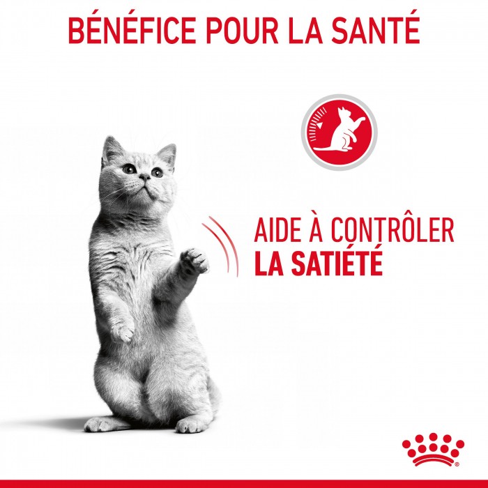 ROYAL CANIN Appetite Control Care en Mousse – Pâtée pour chat
