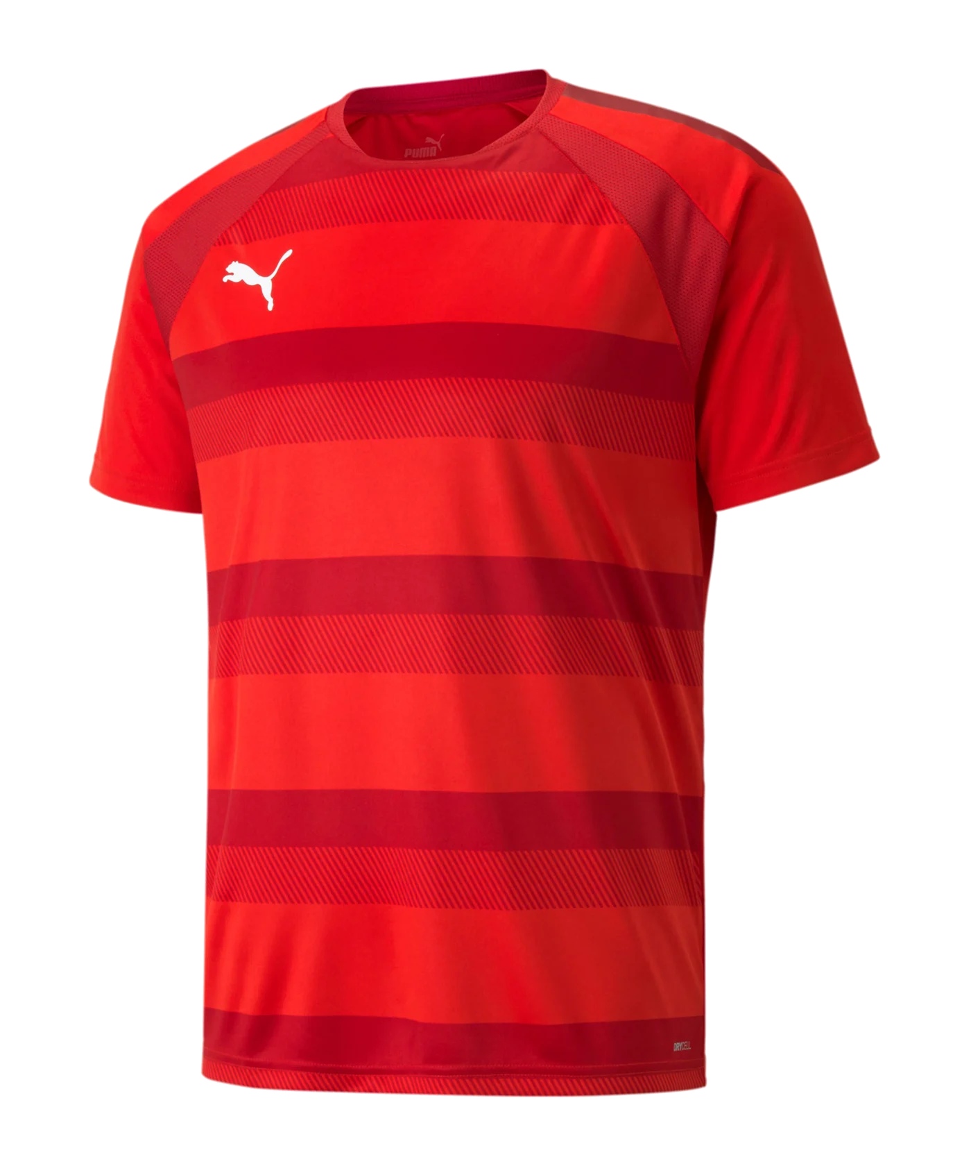 PUMA teamVISION Trikot Rot F01