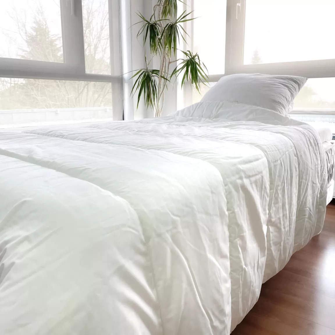 Lot Couette chaude anti-acariens (140 x 200 cm) + 1 Oreiller (60 x 60 cm) Comète Blanche