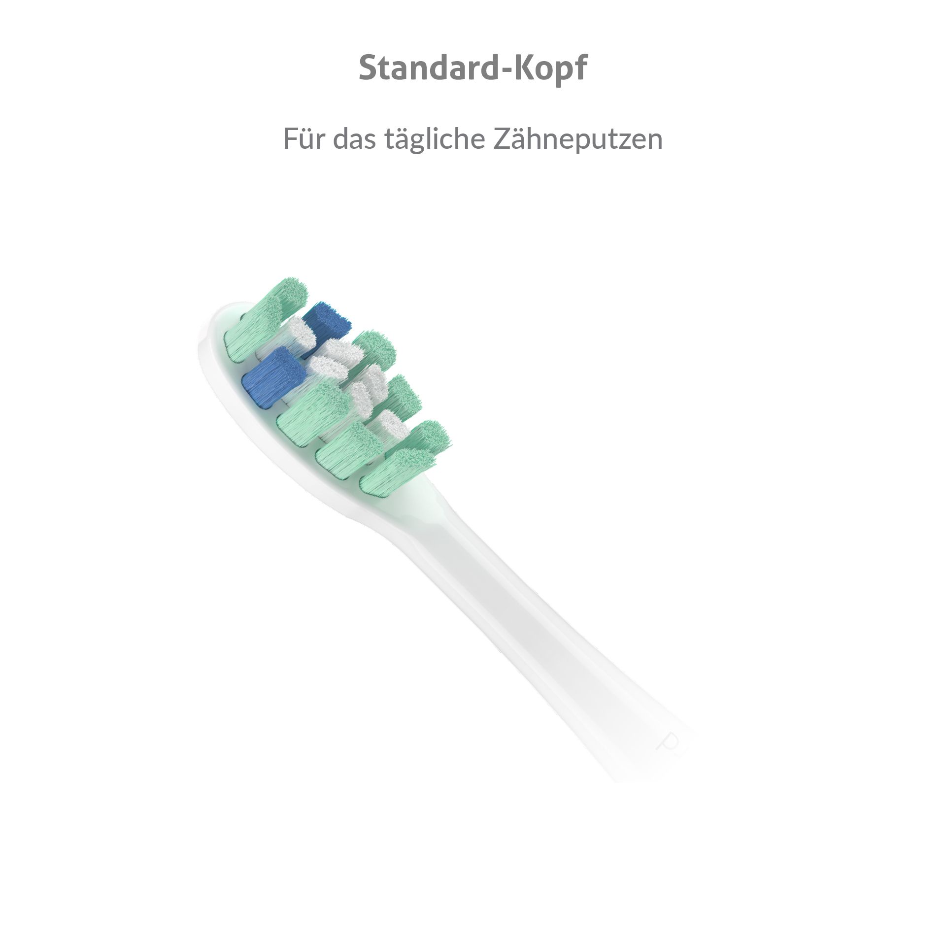 TrueLife SonicBrush Clean-series Köpfe 2-Pack