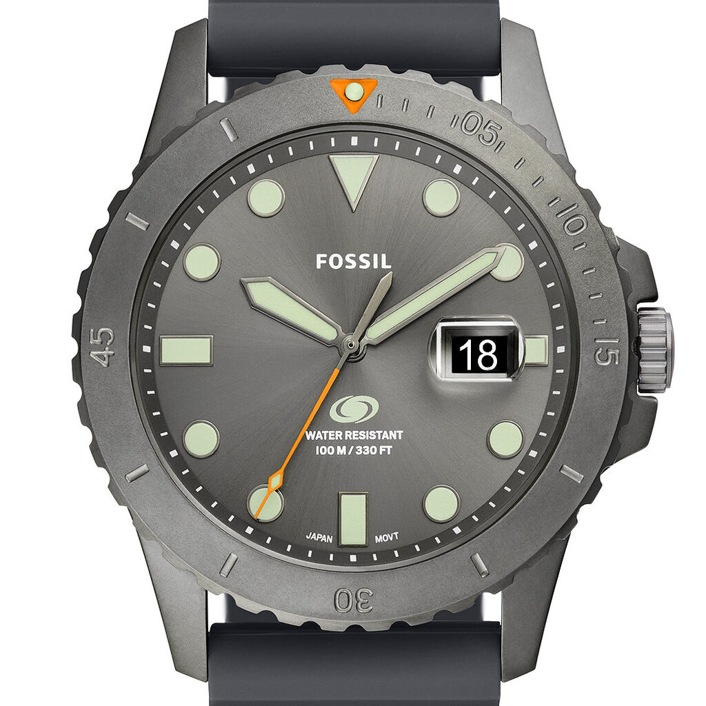 Montre Fossil Blue Gris