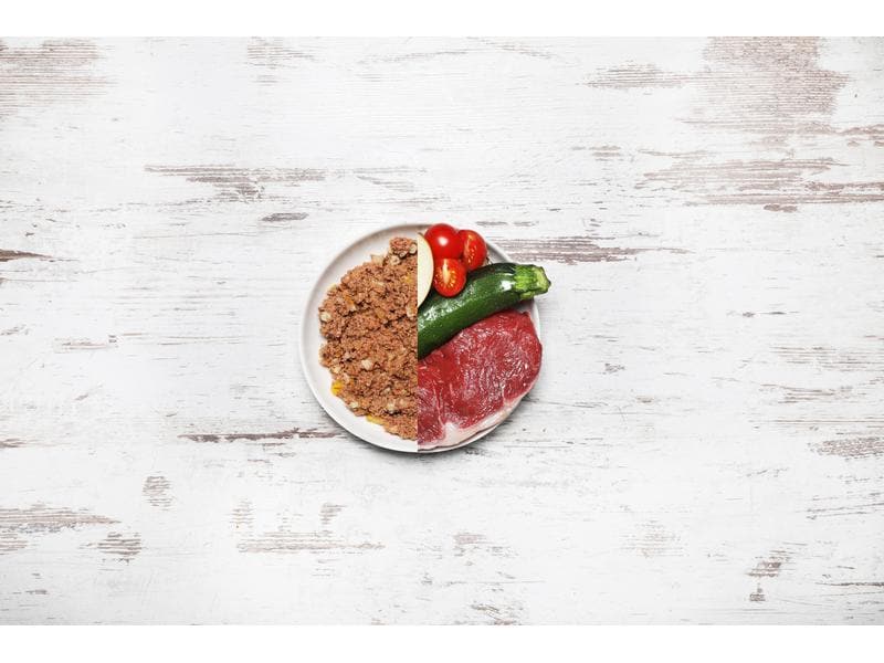Dog's Love Nassfutter BIO Adult Rind, 400 g Alleinfuttermittel für ausgewachsene Hunde