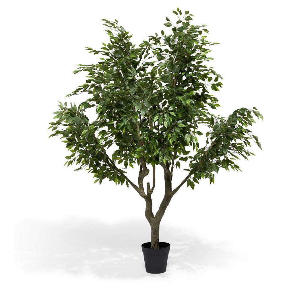 Ficus artificiel 2,5m