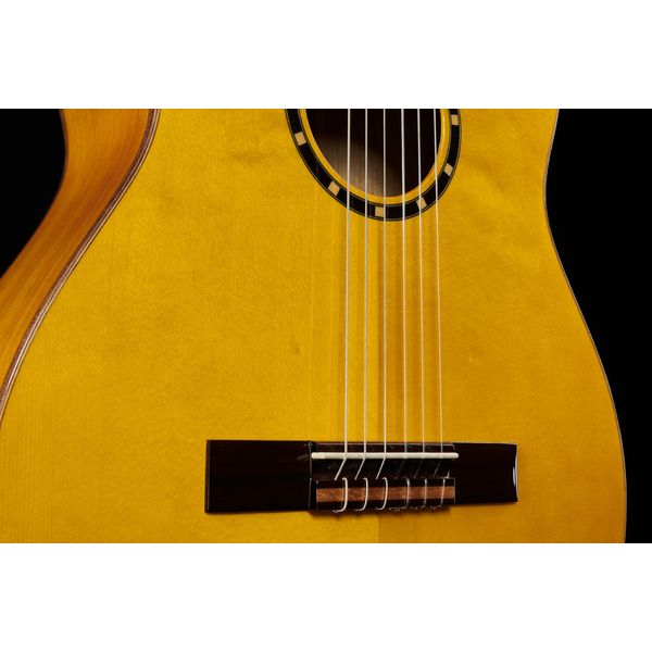 Ortega R170F