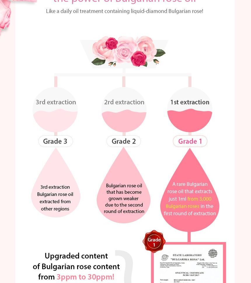 MAXCLINIC - Rozenvitamine Verhelderende Olieschuim