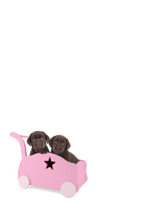 Studio Pets | Geboortekaart | Tante