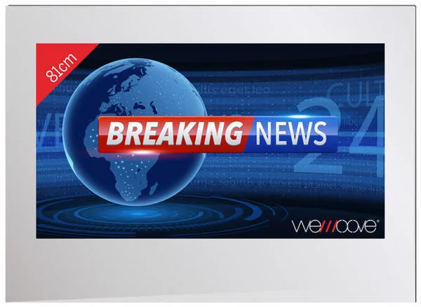 Wemoove WM-SFMTV323HEVC TV LED