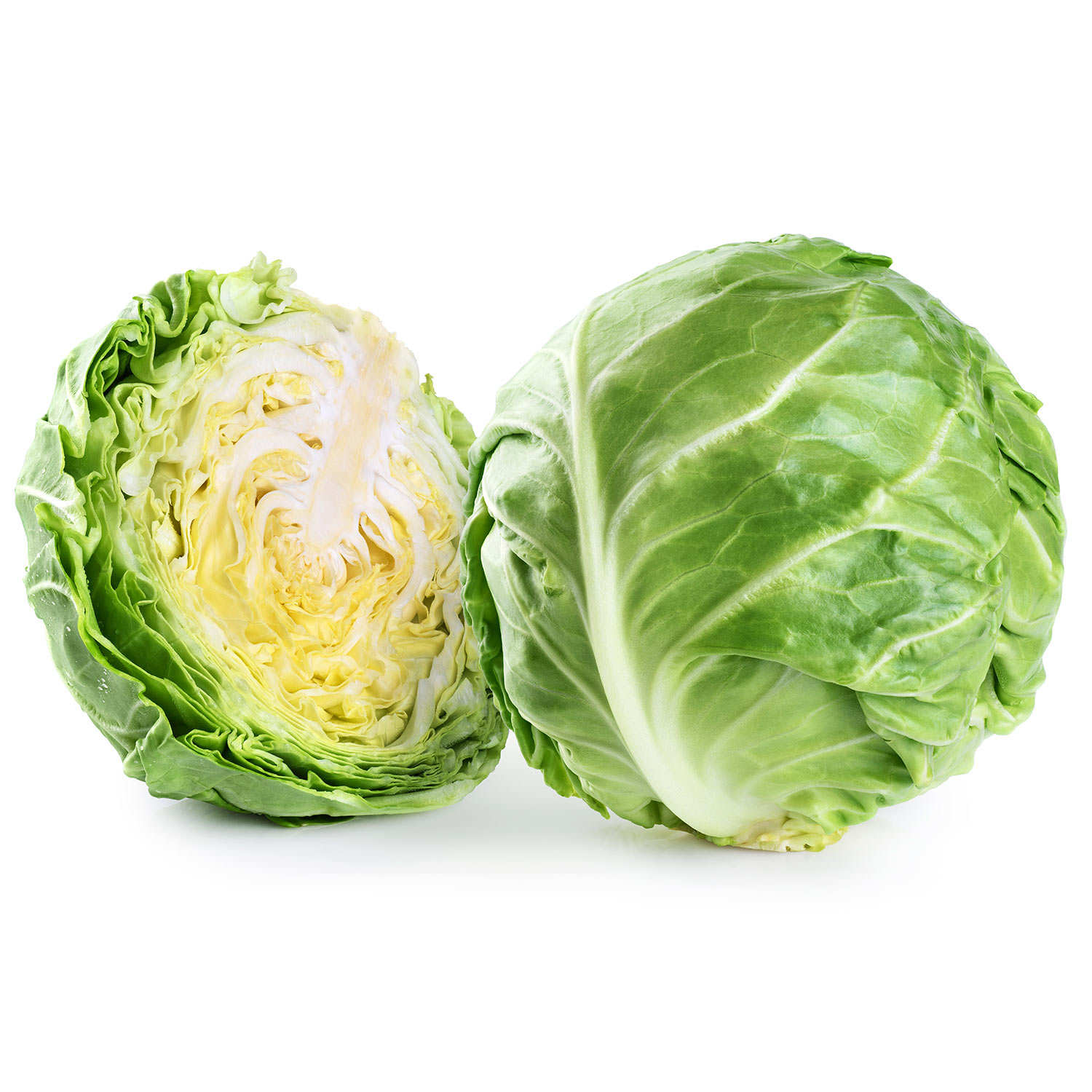 Chou vert lisse de France bio