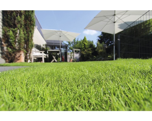 Kiepenkerl RSM 2.3 gazonzaad, gebruiksgazon/speelgazon, 10 kg, 400 m²