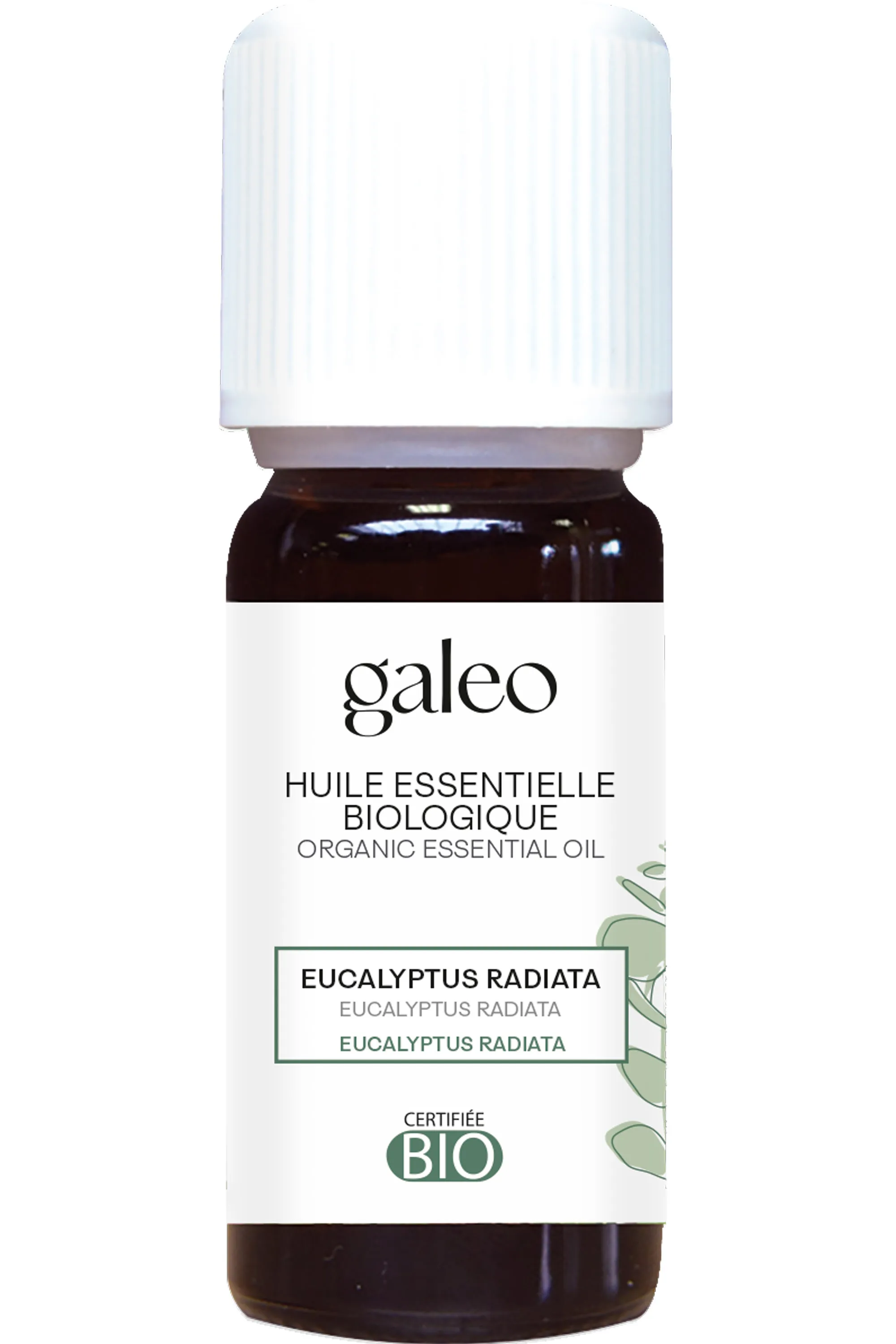 Galeo Huile essentielle biologique Eucalyptus Radiata-10 ml