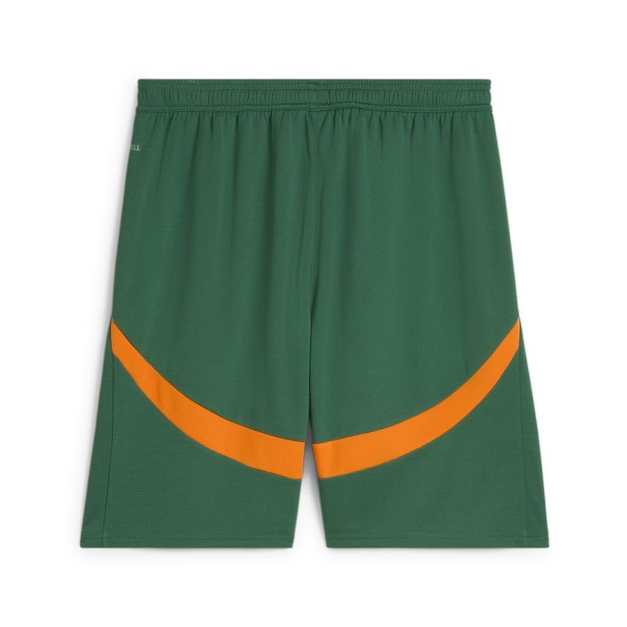 Puma Valencia CF 24/25 Shorts