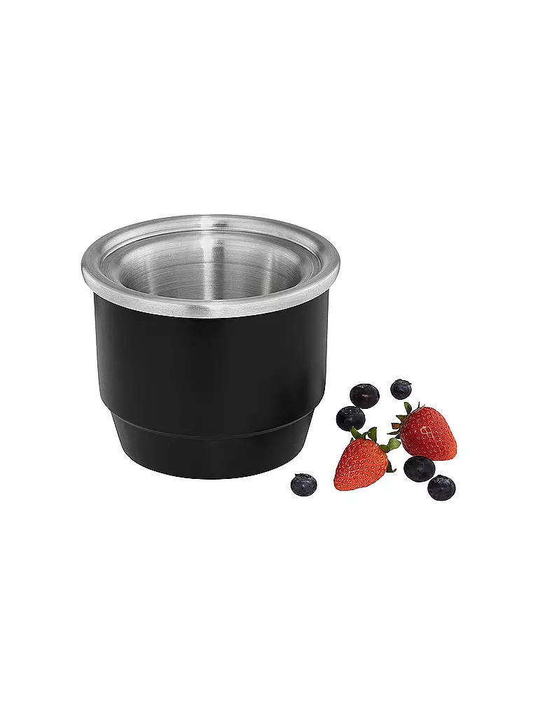 WMF Eismaschine 