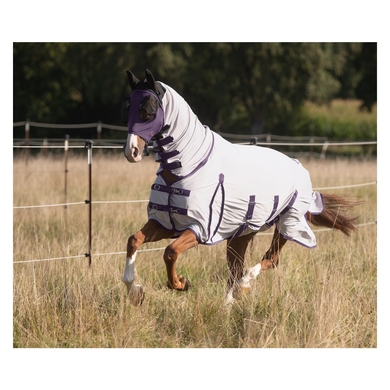 IRISh INNOVATION Ekzemer- und Fliegendecke - cool purple