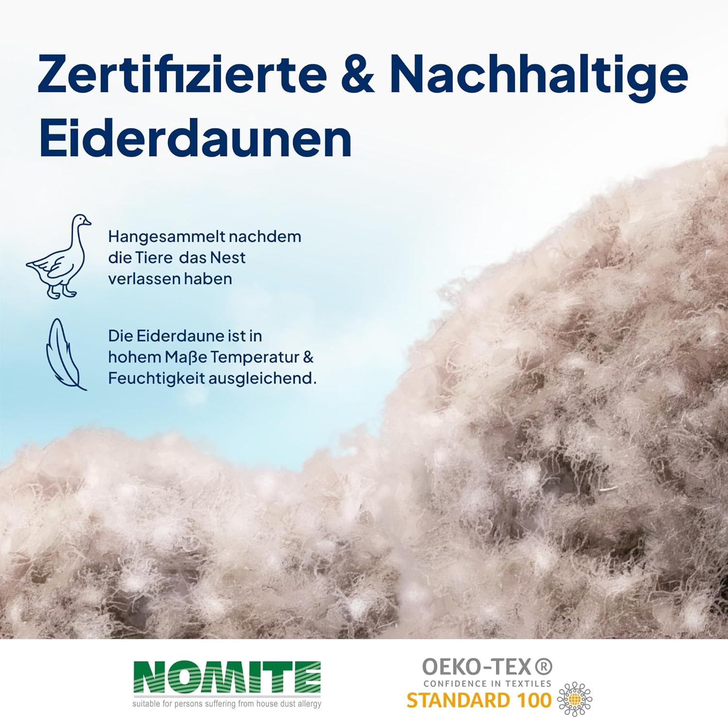 AM Qualitätsmatratzen Premium Eiderdaunendecke 135x200 cm - Made in Germany - Bettdecke 135x200 mit Eiderdaunen aus Island - Oeko TEX & Nomite zertfizierte Decke 135x200 mit Bezug aus Mako-Batist