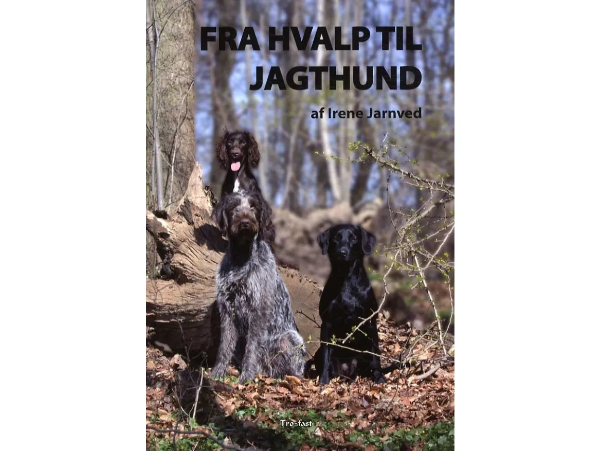 Fra hvalp til jagthund | Irene Jarnved