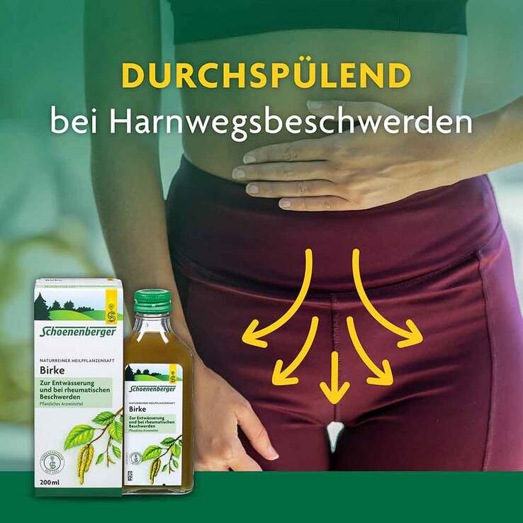 Birkensaft Schoenenberger, 200 ml