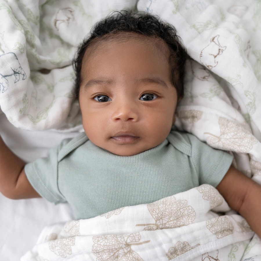 aden+anais™ Musslindecke Harmony