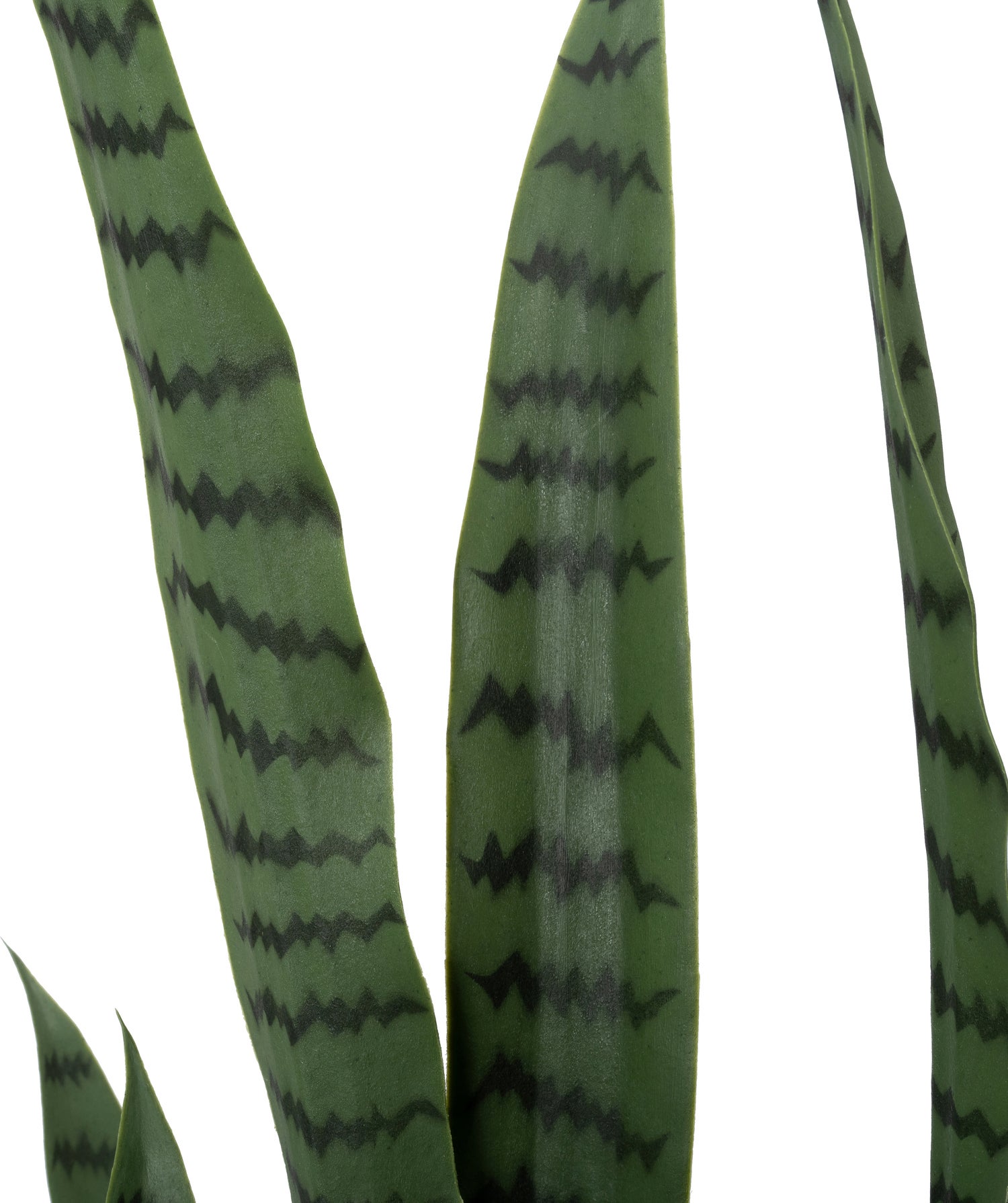 Intratuin kunstplant Vrouwentong groen 50 x 50 x 148 cm