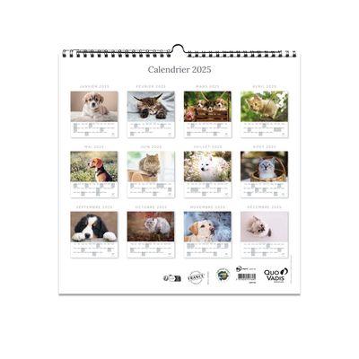 Quo Vadis - Calendrier à feuilles Animaux - 30 x 30 cm