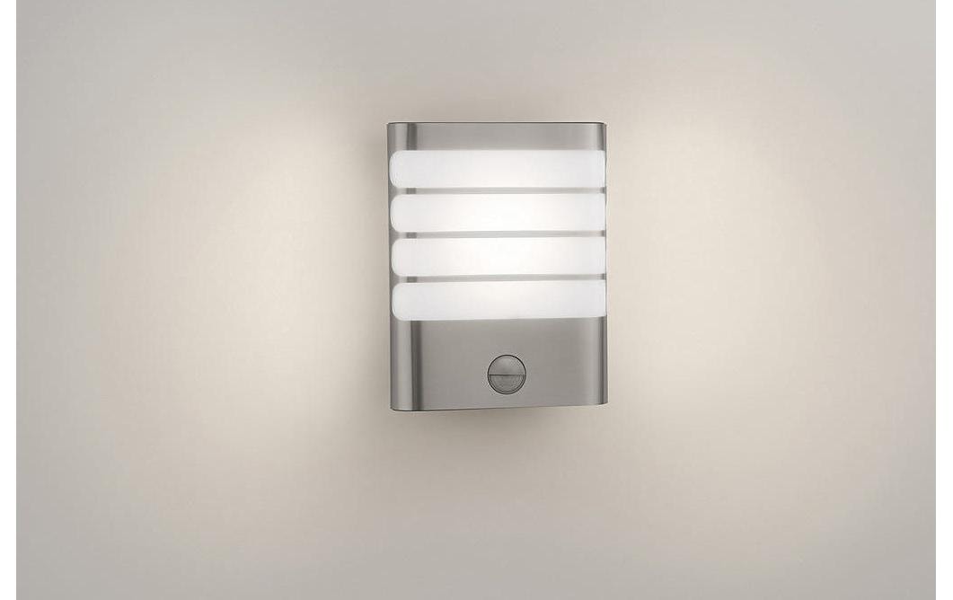 Philips Aussen-Wandleuchte »myGarden Raccoon IR 17274/47/16 Silber«