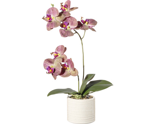 Kunstorchideeënplant, hoogte: 45 cm, groen