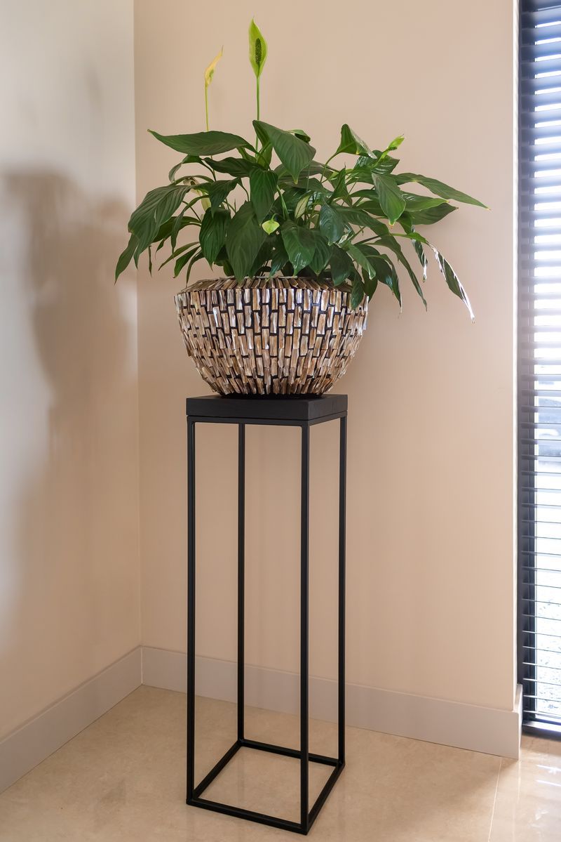 Pilaar 210344 Oakura Oakura B30 x D30 x H95 cm