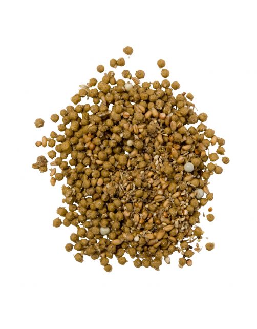 Tovo Duiven Kracht\/Opfokvoer - Duivenvoer - 1.0 kg