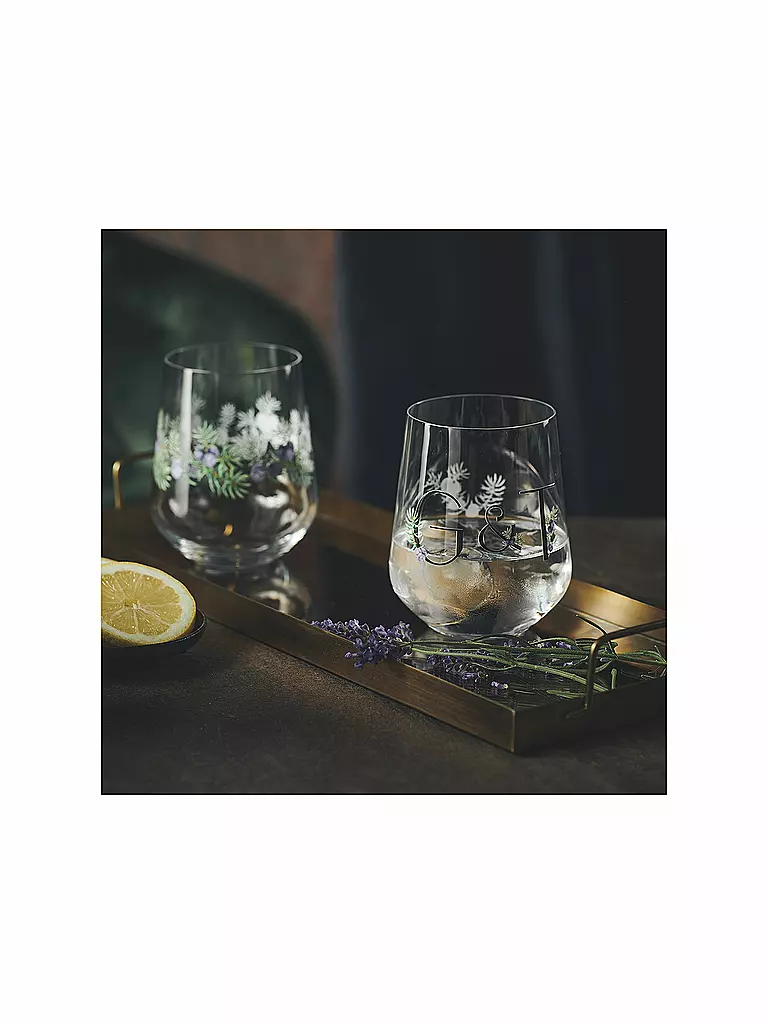 RITZENHOFF Gin Tumbler 2-er Set BOTANIC LIGHTS  #5 #6 Design Team bunt