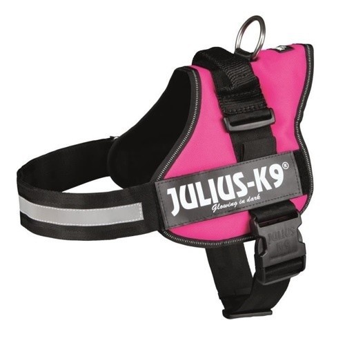 Coleira de Reforço Julius K-9 Fuchsia para Cães
