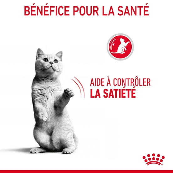 Croquettes chat quemandeur Appetite Control Sterilised 400g