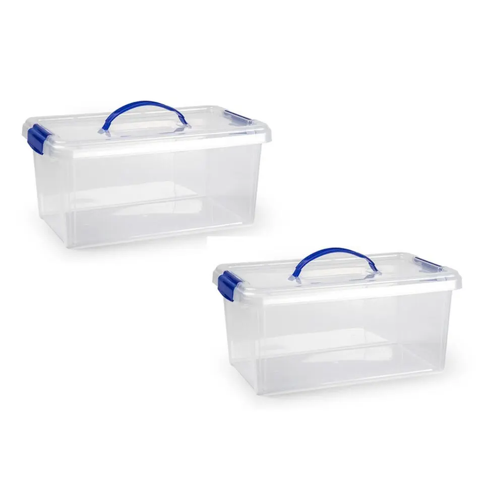 Plastic Forte Opslagbak - met deksel - 10 liter - transparant