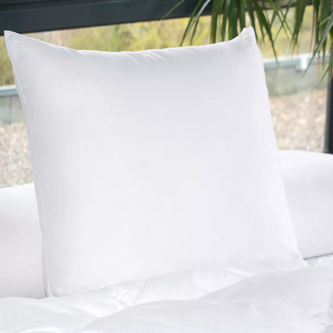 Lot de 2 oreillers carrés (60 x 60 cm) Moelleux Anti-acariens Blanc