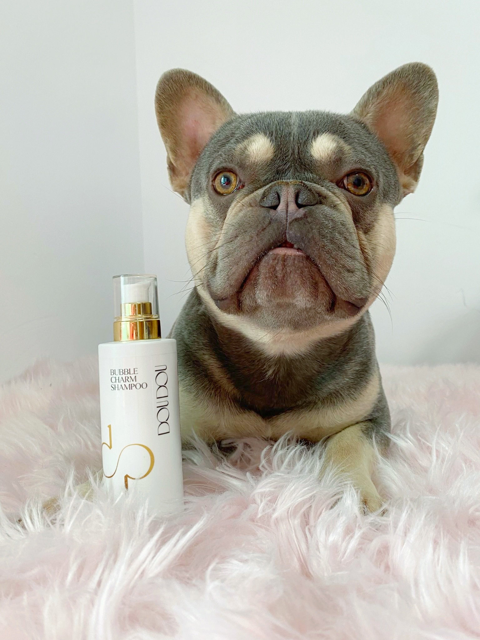 Shampoo DOUDOU Bubble Charm para Cães