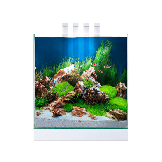 Aquarium Nano Nexus, blanc - 25 litres