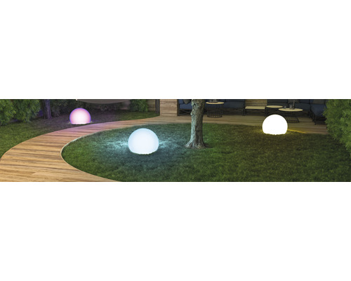 Müller Licht Tint Buitenlamp Bol 35 cm Calluna - Compatibel met SMART HOME van hornbach