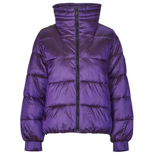 BOSS - C_Padina Violeta