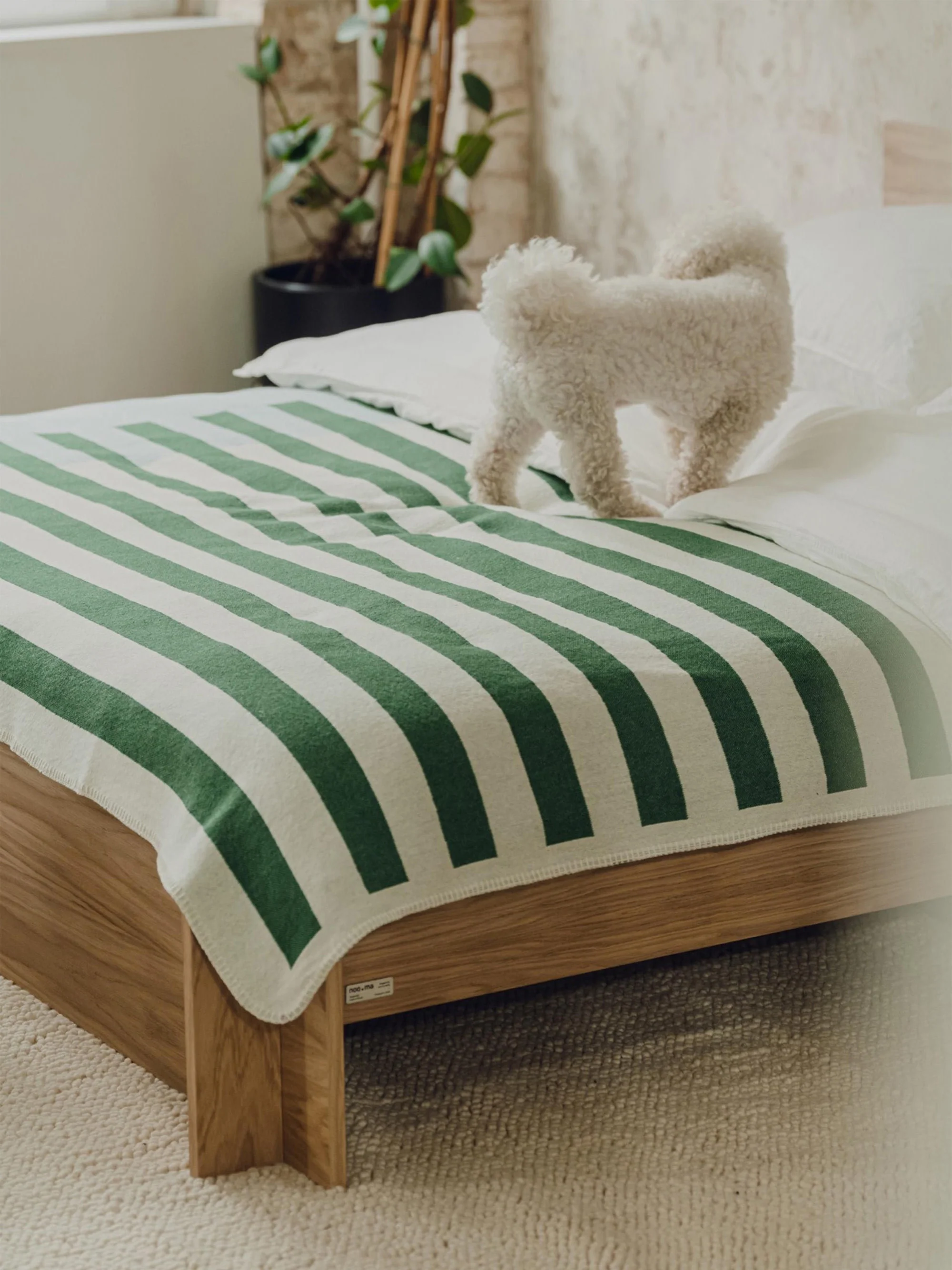 Katoenen plaid Onu